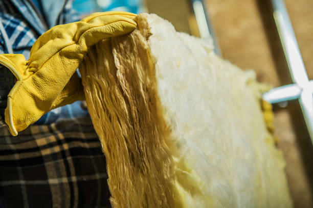 Best Commercial Insulation in Gallatin, MO